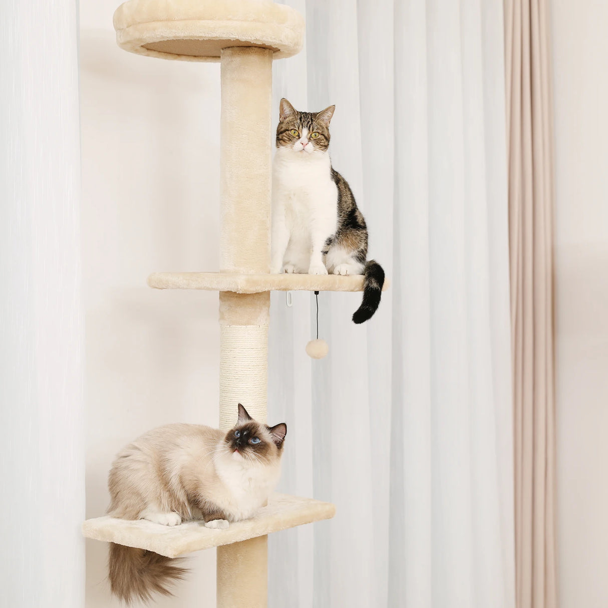 5-Tier Floor to Ceiling Cat Tree Tower Cactus Tall Climbing Tree with Scratching Post Hammock Dangling Ball for Indoor Cats