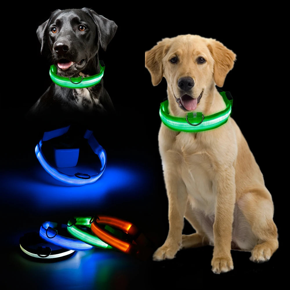 Safety Led Dog Collar Luminous Usb Cat Dog Collar Small Bright Labrador Pets Adjustable Dog Loss Prevention Puppy Accessories