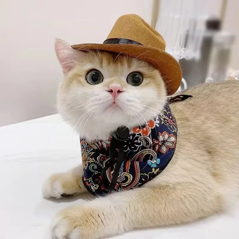 Pet Hat Dog Cat Western Cowboy Hat Halloween Pet Outdoor Caps  Funny Retro Photo Prop Dog Accessories Doll Decor Pet Products