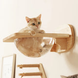 Wall Mounted Cat Space Capsule Bed Wooden Climbing Floating Shelf Transparnt Kitten  House for Sleeping Resting Wall Furniture