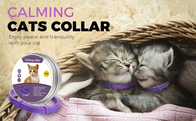 New Release Cat Dog Calming Collar Pets Relieve Anxiety Protection Retractable Collars For Puppy Kitten Large Dogs Accessories