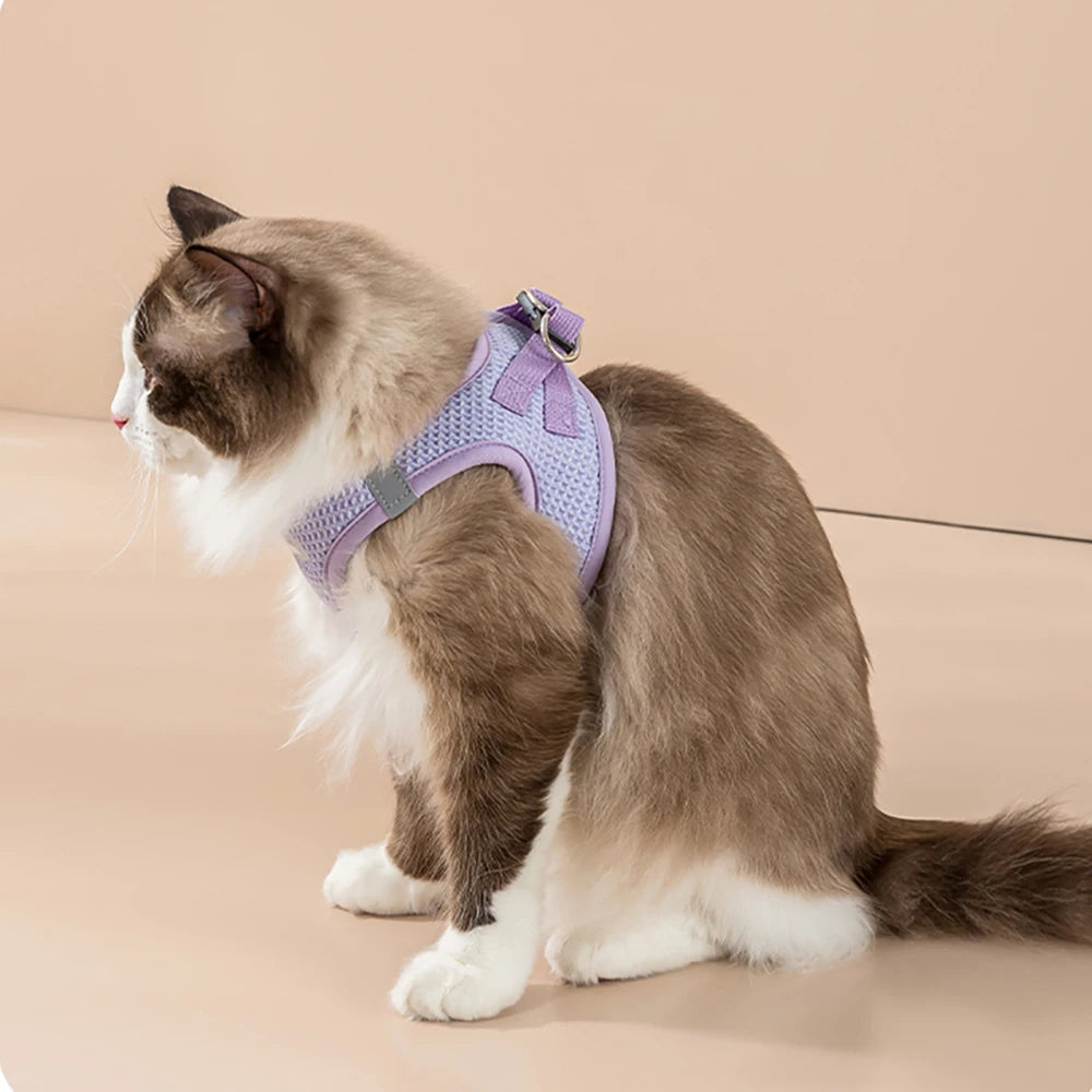 Reflective Cat Harness Leash Set for Small Dogs Cats Harness Vest Puppy Walking Chest Strap Kitten Leash Lead Set Dog Accessorie