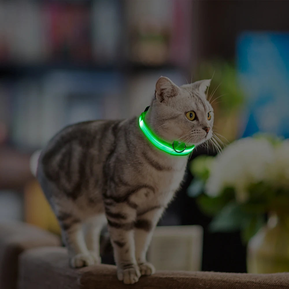 Safety Led Dog Collar Luminous Usb Cat Dog Collar Small Bright Labrador Pets Adjustable Dog Loss Prevention Puppy Accessories