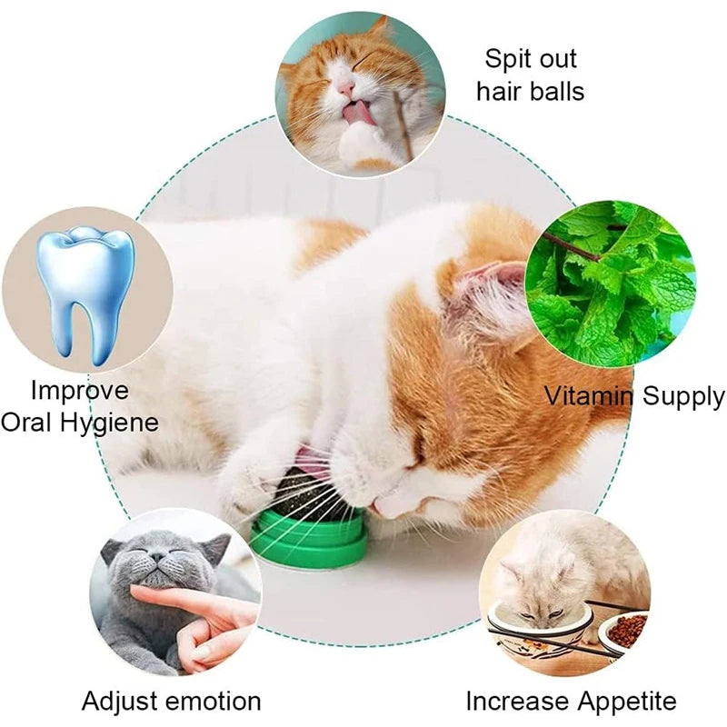 Natural Catnip Cat Wall Stick-on Ball Toy Scratchers Treats Healthy Removes Balls to Promote Digestion Cat Grass Healthy Supplie