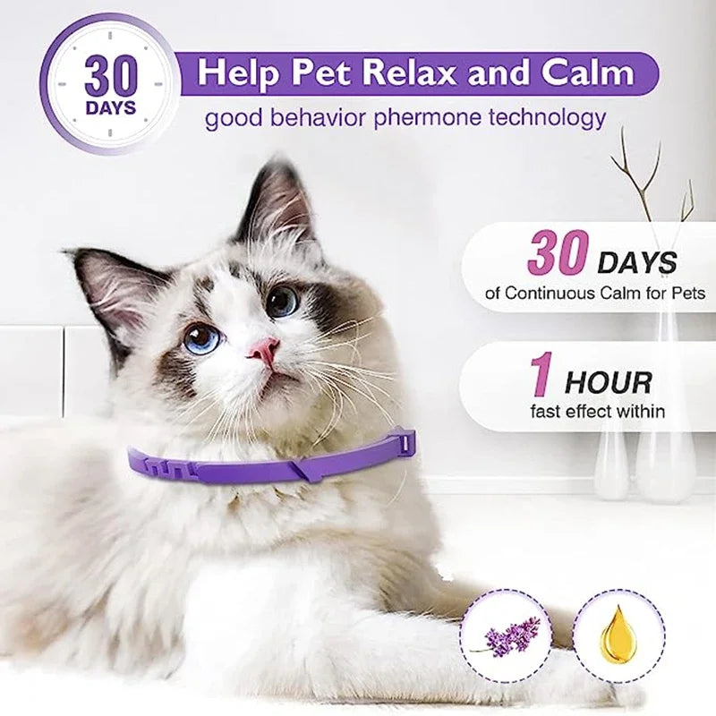 New Release Cat Dog Calming Collar Pets Relieve Anxiety Protection Retractable Collars For Puppy Kitten Large Dogs Accessories