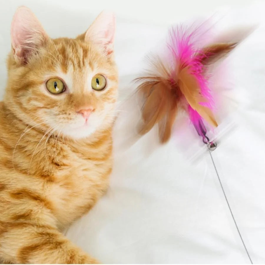 New Cat Feather TPR Silicone Collar Cat's toy Teasing Self-Hey Cat Stick Pet Collar With Bell Feather