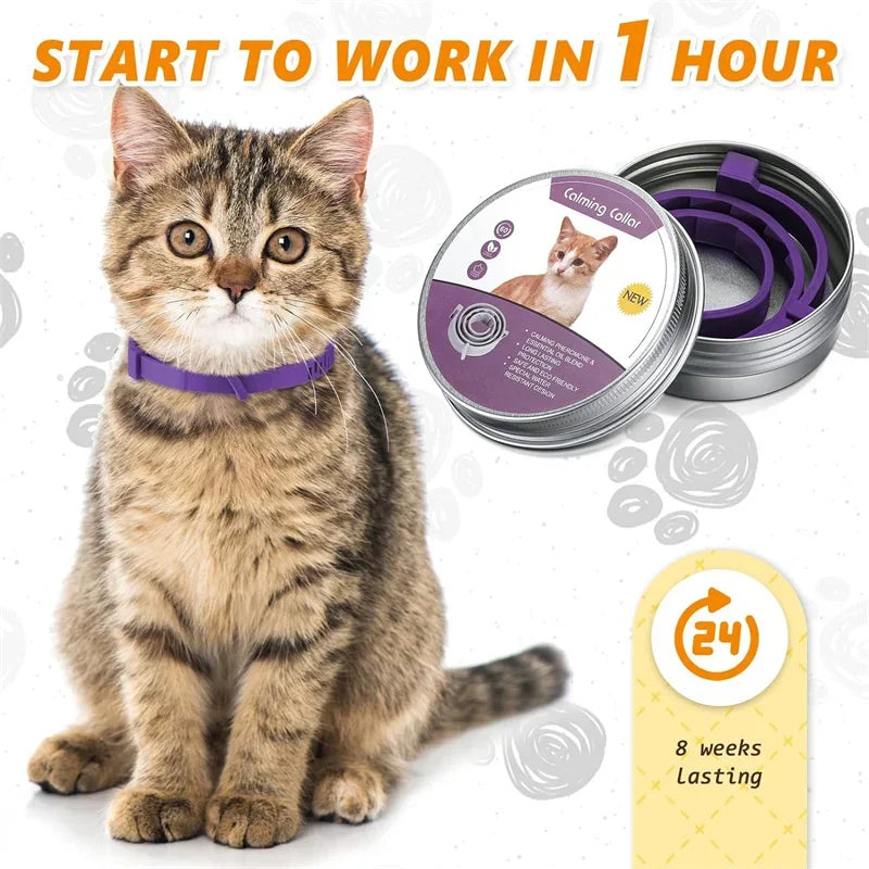 New Release Cat Dog Calming Collar Pets Relieve Anxiety Protection Retractable Collars For Puppy Kitten Large Dogs Accessories