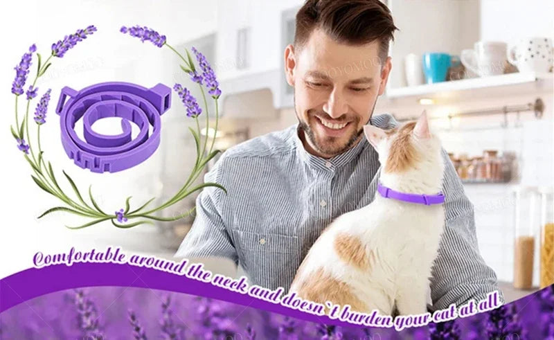 New Release Cat Dog Calming Collar Pets Relieve Anxiety Protection Retractable Collars For Puppy Kitten Large Dogs Accessories