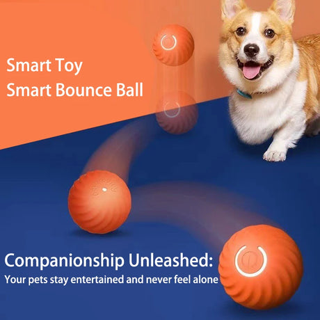 Smart Automatic Rolling Jumping Ball Toy Durable Dog Chew Toys Pet Grinding Teeth squeak Balls For Dog Interactive Supplies