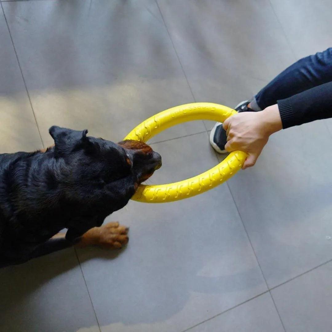 Dog Toy Training Ring Puller Puppy Flying Disk Anti-Bite Aggressive Chewing Interactive Toys Pet Supplies juguetes para perros