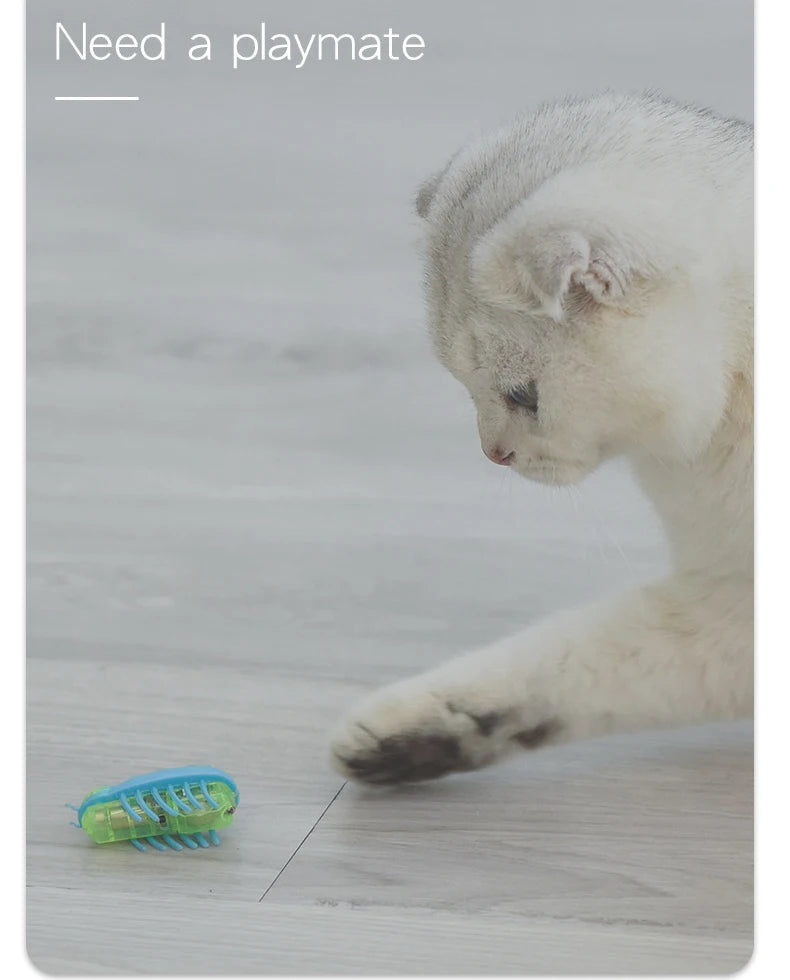 Electric Insect Cat Toy, Cat Escape Obstacle Automatic Flip Toy Battery Operated Vibration Pet Beetle Playing Toy Mini Robot Bug