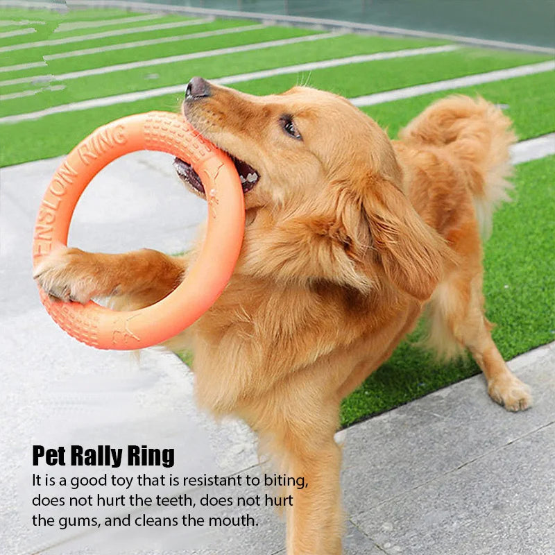 Dog Toys EVA Pet Flying Disk Training Ring Puller Anti-Bite Floating Outdoor Interactive Training Supplies Dog Toys