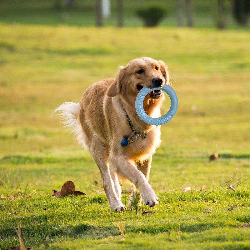 Dog Toy Training Ring Puller Puppy Flying Disk Anti-Bite Aggressive Chewing Interactive Toys Pet Supplies juguetes para perros