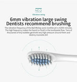 Electric Ultrasonic Toothbrush Six Speed Mode Home Soft Hair USB Charging Waterproof Adult Tooth Cleaner Automatic Couple Set