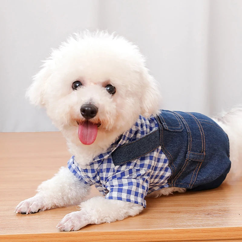 Pet Clothes Dog Cat Striped Plaid Jean Jumpsuit Hoodies Pet Costume for Small Medium Dog Chihuahua French Bulldog Puppy Clothing