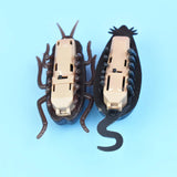 Funny Pet Cat Toys Interactive Electronic Toy Cockroach Mouse Spider for Cats Dogs Puppy Training Toys Pet Product cats