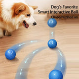 Smart Automatic Rolling Jumping Ball Toy Durable Dog Chew Toys Pet Grinding Teeth squeak Balls For Dog Interactive Supplies