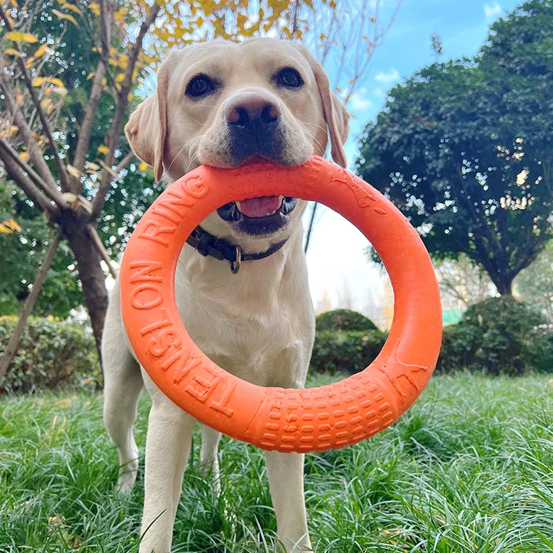 Dog Toys EVA Pet Flying Disk Training Ring Puller Anti-Bite Floating Outdoor Interactive Training Supplies Dog Toys