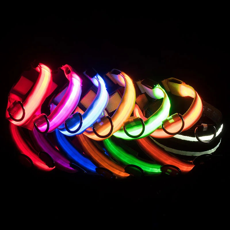 LED Glowing Dog Collar Adjustable Flashing Rechargea Luminous Collar Night Anti-Lost Dog Light HarnessFor Small Dog Pet Products