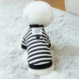 Winter Dog Clothes for Small Dogs Pet Stripe Cotton Sweatshirt Warm Puppy Hoodie with D-ring Cold Weather Coat Cat Clothing