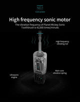 Electric Ultrasonic Toothbrush Six Speed Mode Home Soft Hair USB Charging Waterproof Adult Tooth Cleaner Automatic Couple Set