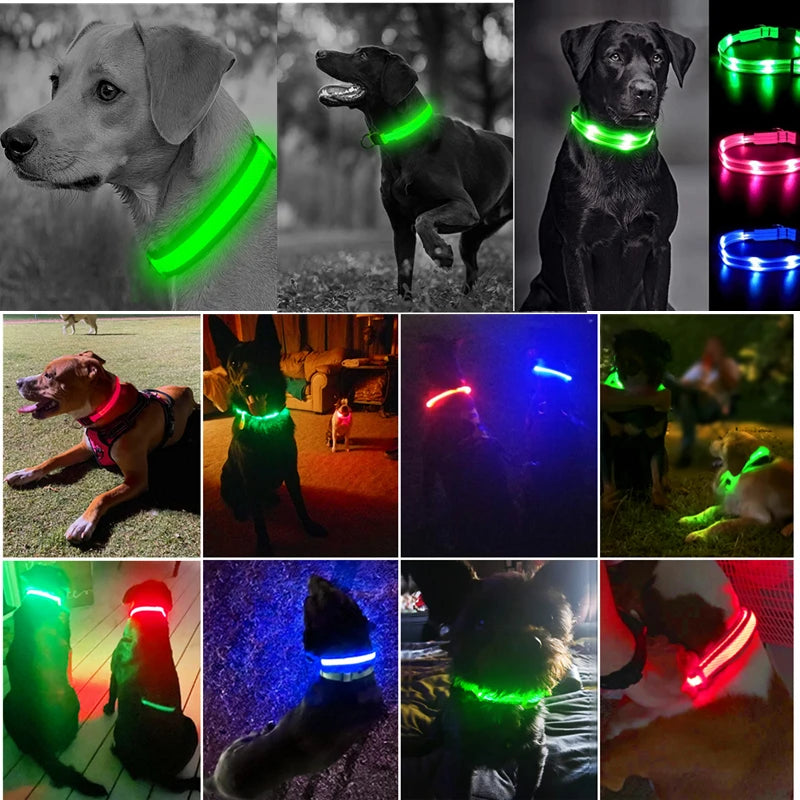 LED Glowing Dog Collar Adjustable Flashing Rechargea Luminous Collar Night Anti-Lost Dog Light HarnessFor Small Dog Pet Products