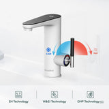 Briwellna Tankless Water Heating Faucet 220V Electric Kitchen Faucet 2 in 1 Digital Display Hot Water Heater Flowing Faucet