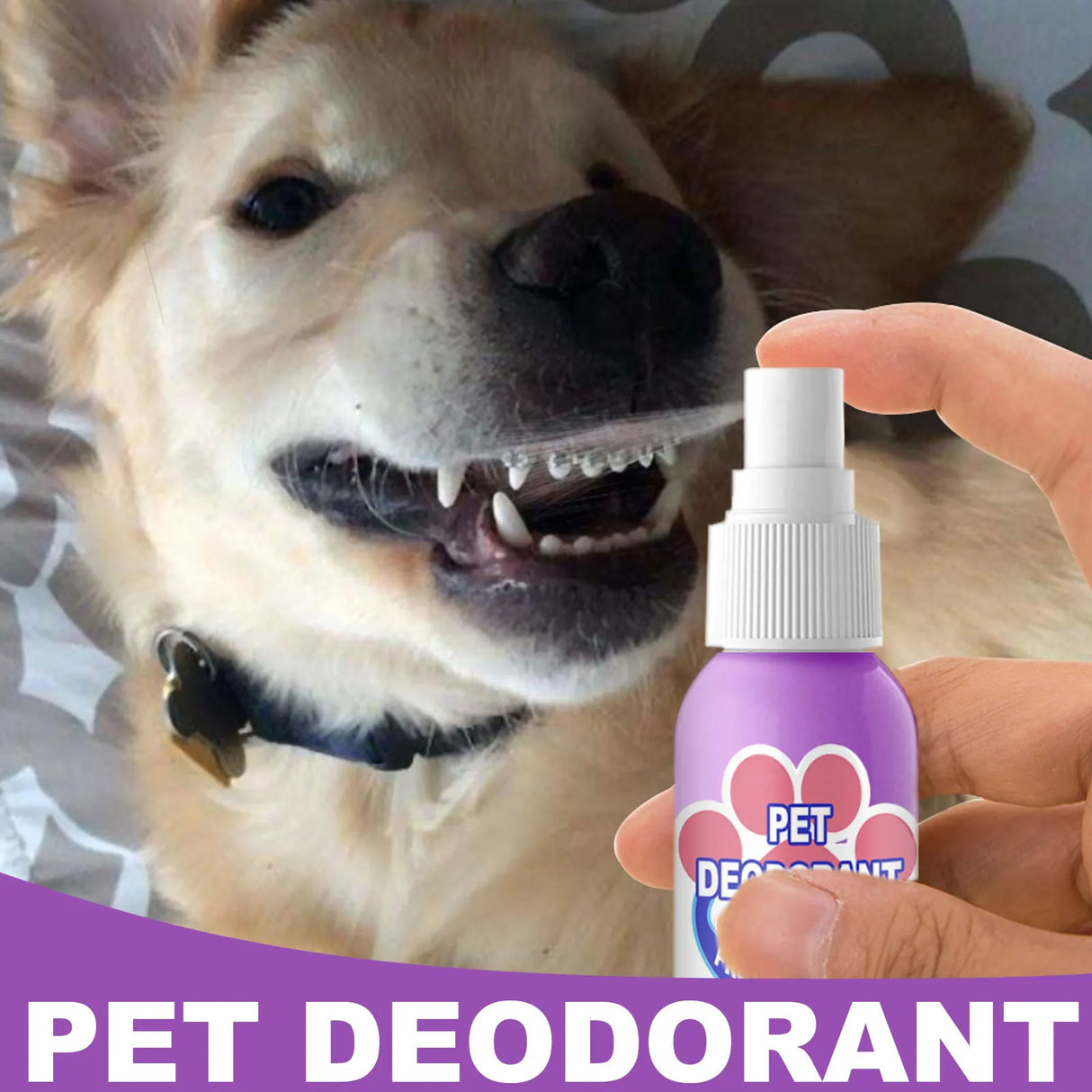 60ml Pet Oral Cleanse Spray Prevent Calculus Remove Kitten Bad Breath Pet Supplies Dogs Cats Teeth Clean Deodorant Spray