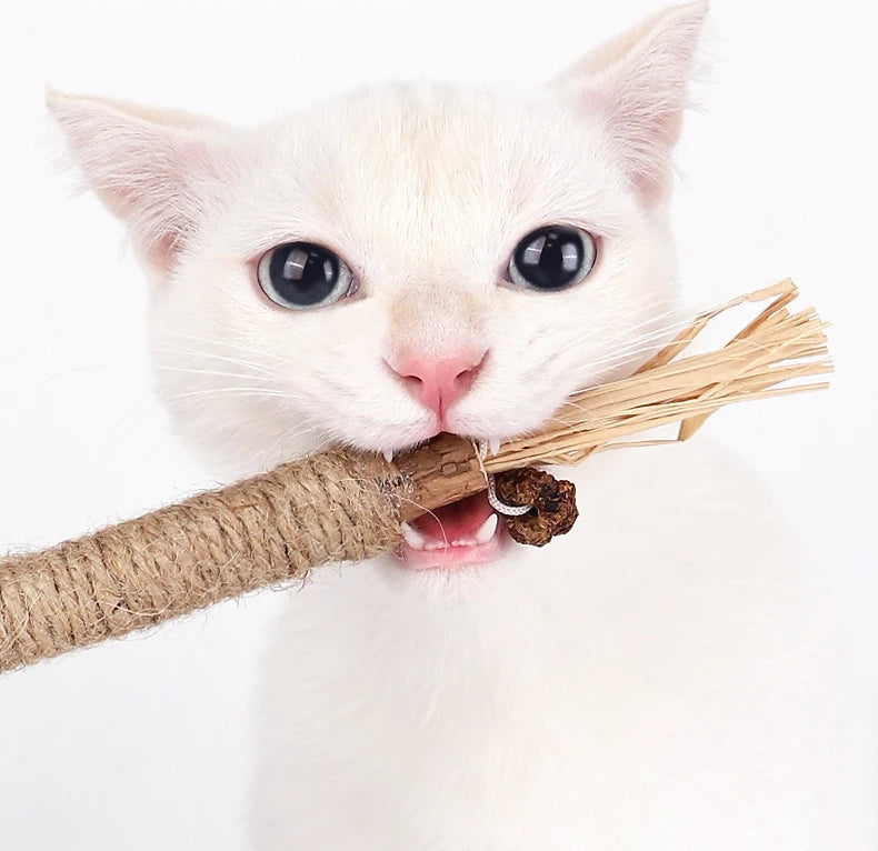 Cat Toys Silvervine Chew Stick,Kitten Treat Catnip Toy Kitty Natural Stuff with Catnip for Cleaning Teeth Indoor Dental