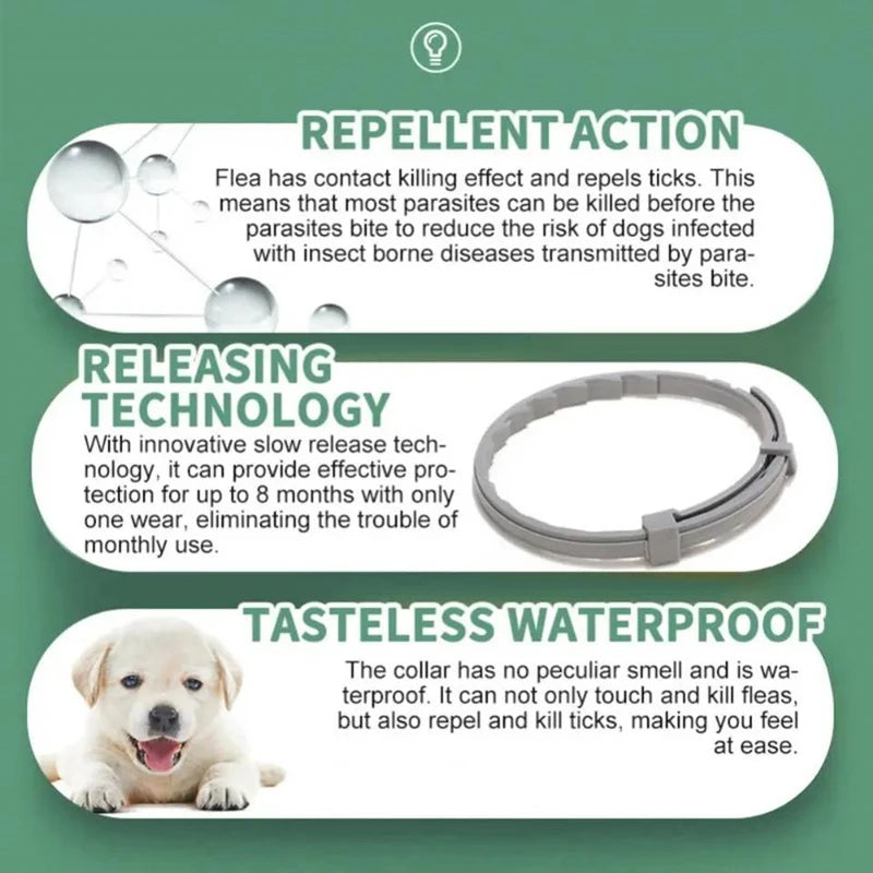 Anti Flea and Tick Collar for Cat and Dog, Retractable Collar for Puppy, Large Dogs Accessories,Pet 8Month Protection