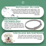 Anti Flea and Tick Collar for Cat and Dog, Retractable Collar for Puppy, Large Dogs Accessories,Pet 8Month Protection