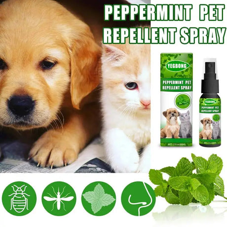 Pet Dog Flea Killer Vitro Spray Long-Lasting Control Repel Fleas Ticks Lice Insect Remover For Cats Dogs 60ML artículos para ma