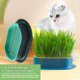 Colorful Pet Cat Sprout Dish Growing Pot Hydroponic Plant Cat Pot Grass Box Germination Nursery Starter Dish Greenhouse Grow Box