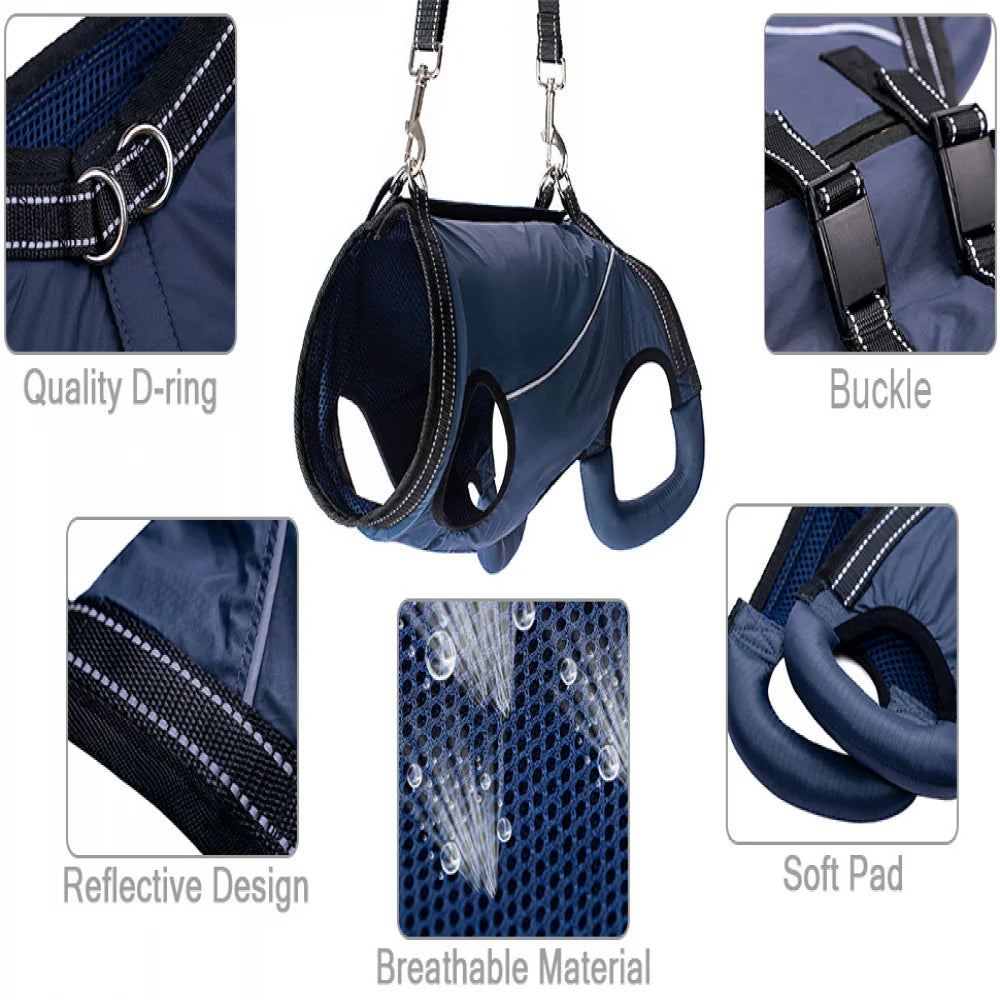 Dog Lift Harness Pet Support Rehabilitation Sling Padded Breathable Straps for Old Disabled Joint Injuries Arthritis Dog Walk