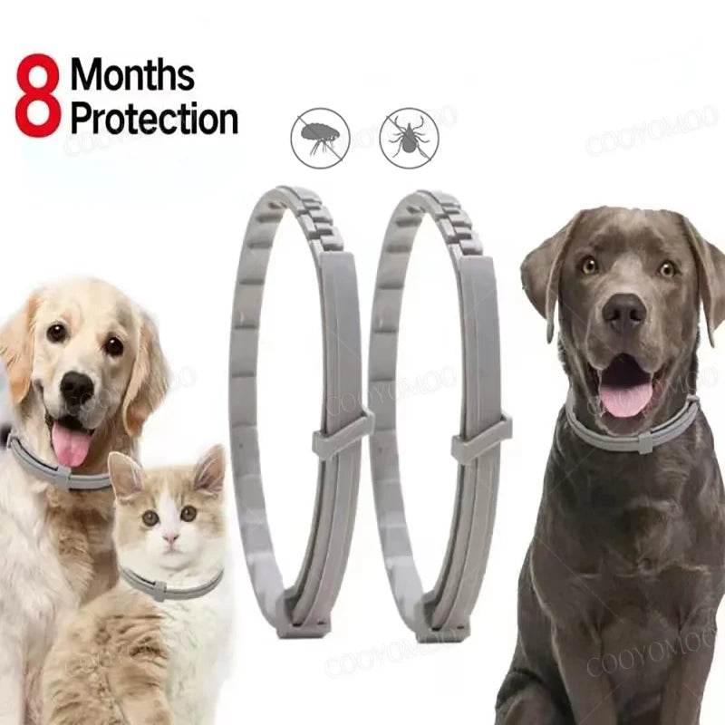 Anti Flea and Tick Collar for Cat and Dog, Retractable Collar for Puppy, Large Dogs Accessories,Pet 8Month Protection