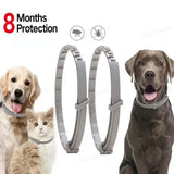 Anti Flea and Tick Collar for Cat and Dog, Retractable Collar for Puppy, Large Dogs Accessories,Pet 8Month Protection