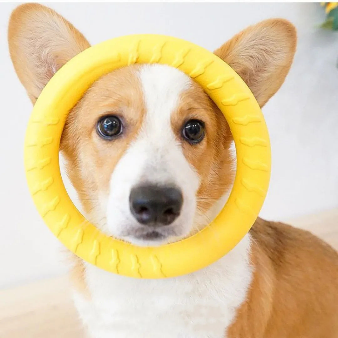 Dog Toy Training Ring Puller Puppy Flying Disk Anti-Bite Aggressive Chewing Interactive Toys Pet Supplies juguetes para perros