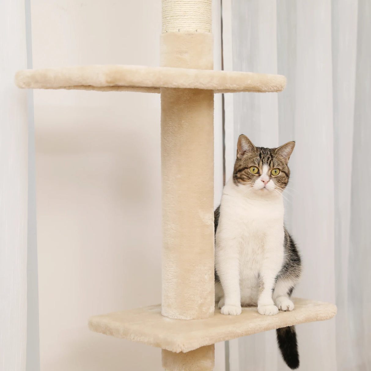 5-Tier Floor to Ceiling Cat Tree Tower Cactus Tall Climbing Tree with Scratching Post Hammock Dangling Ball for Indoor Cats