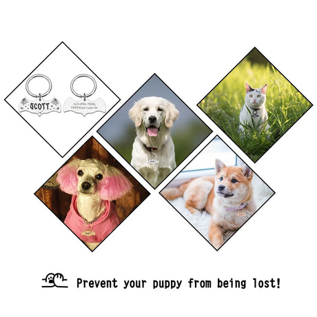 Custom Pet ID Tag Personalized Dog Cat ID Tag Halloween Bat Free Engraving Name Number Anti-lost Collar for Puppy Accessories