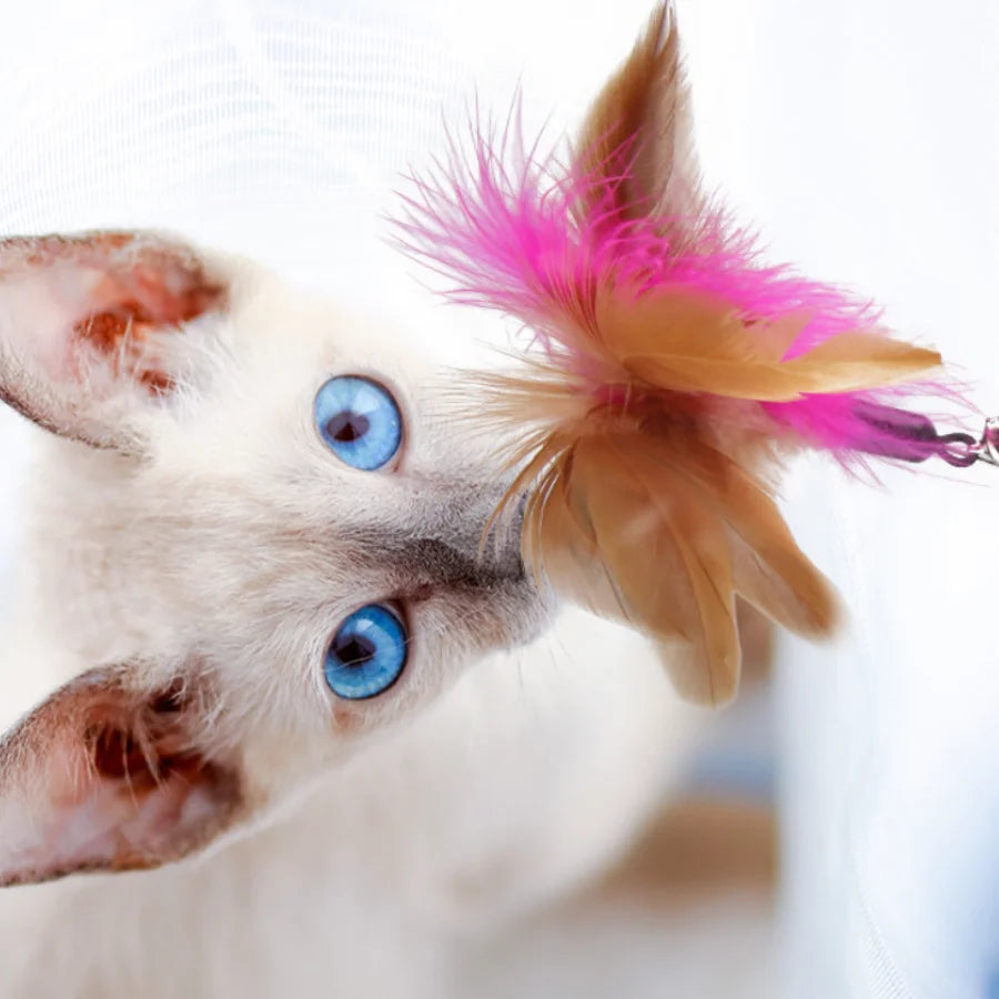 New Cat Feather TPR Silicone Collar Cat's toy Teasing Self-Hey Cat Stick Pet Collar With Bell Feather