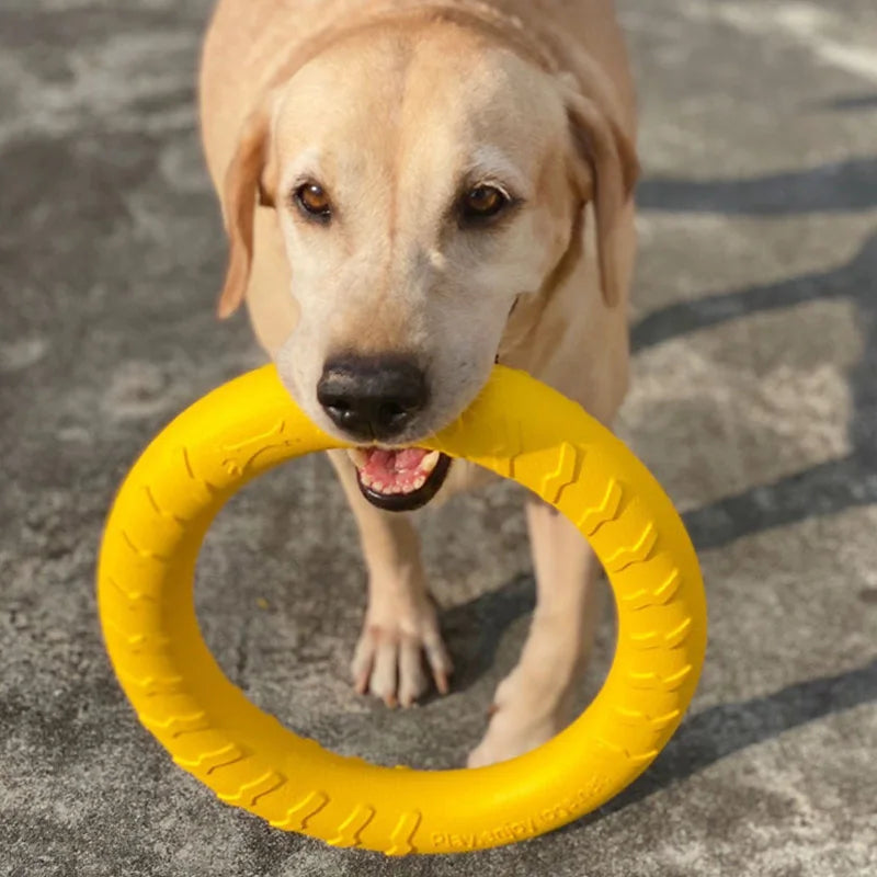 Dog Toy Training Ring Puller Puppy Flying Disk Anti-Bite Aggressive Chewing Interactive Toys Pet Supplies juguetes para perros