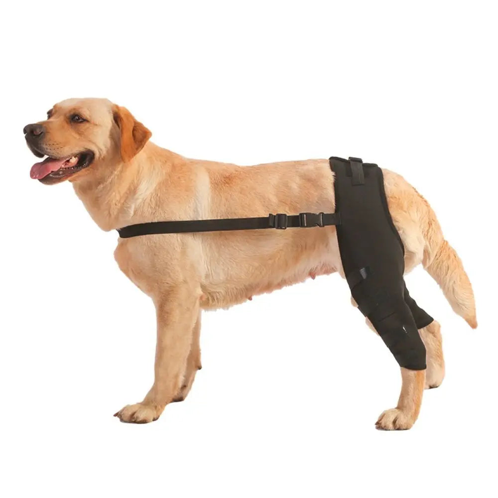 Dog Leg Support Brace Knee Hip Joint Protect Wounds Prevent Injuries Canine Aid And Ligament Rehabilitation For Pets Accessories