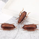 Funny Pet Cat Toys Interactive Electronic Toy Cockroach Mouse Spider for Cats Dogs Puppy Training Toys Pet Product cats