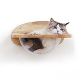 Wall Mounted Cat Space Capsule Bed Wooden Climbing Floating Shelf Transparnt Kitten  House for Sleeping Resting Wall Furniture