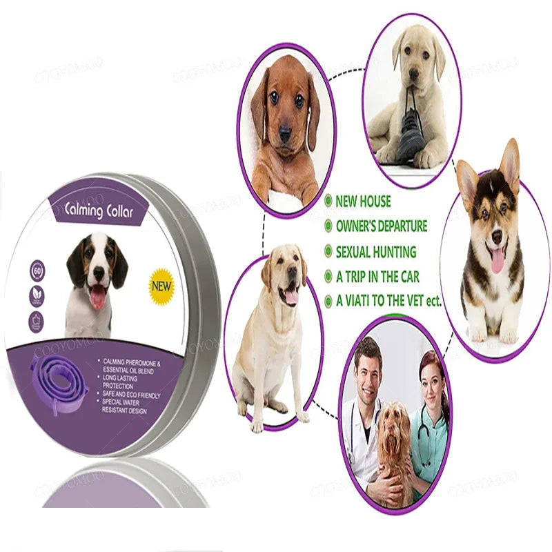 New Release Cat Dog Calming Collar Pets Relieve Anxiety Protection Retractable Collars For Puppy Kitten Large Dogs Accessories