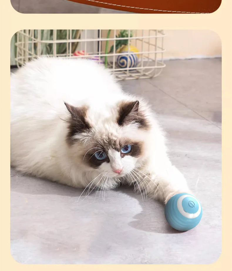 Electric Cat Toys Ball Automatic Rolling Smart Cat Toys Interactive for Cats Training Interactive with USB pet Accessories