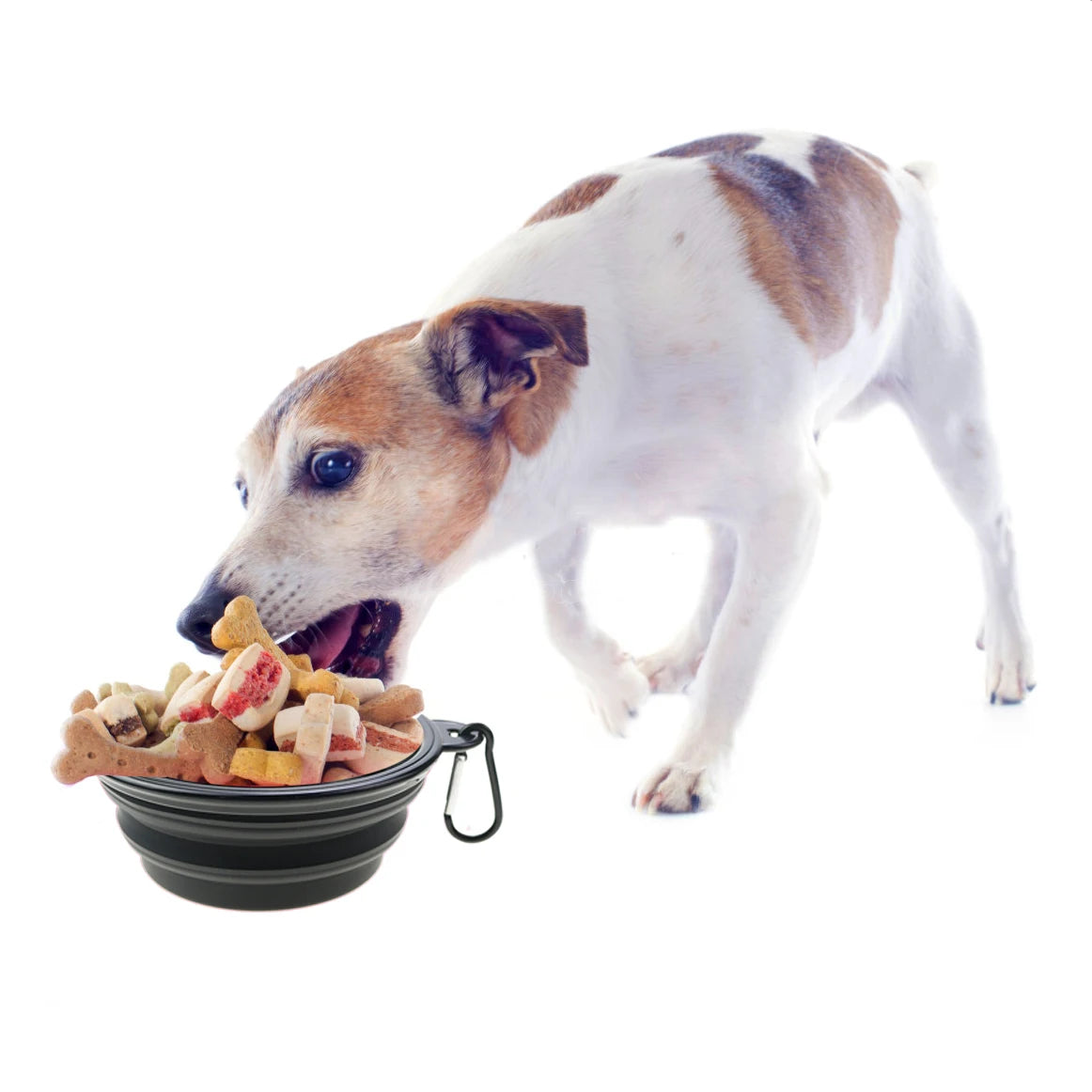 1PC 350ml Soft Silicone Pet Dog Bowl Folding Travel For Portable Collapsible Food Water Feeding Hanging Storage Odorless