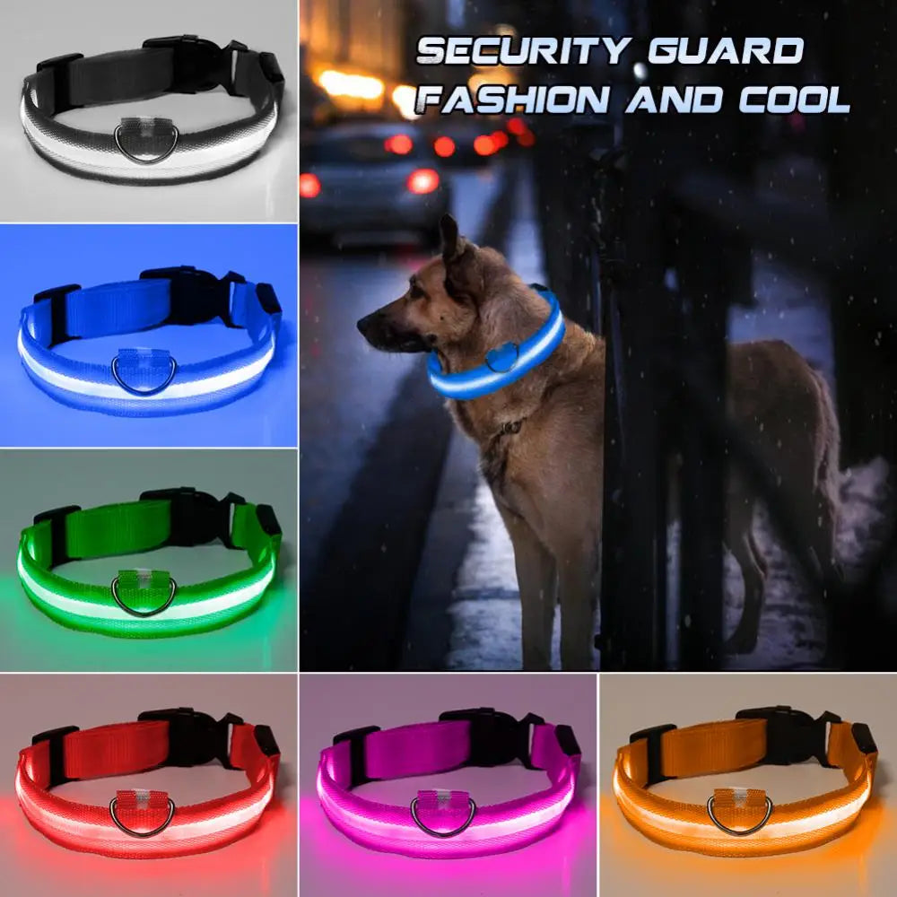 Safety Led Dog Collar Luminous Usb Cat Dog Collar Small Bright Labrador Pets Adjustable Dog Loss Prevention Puppy Accessories