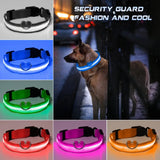 Safety Led Dog Collar Luminous Usb Cat Dog Collar Small Bright Labrador Pets Adjustable Dog Loss Prevention Puppy Accessories