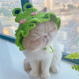 Autumn Winter Cat Hat Elastic Cute Refined Pet Hat Puppy Kittens Knitted Hat Party Photo Shoot Props Decoration Cat Accessories